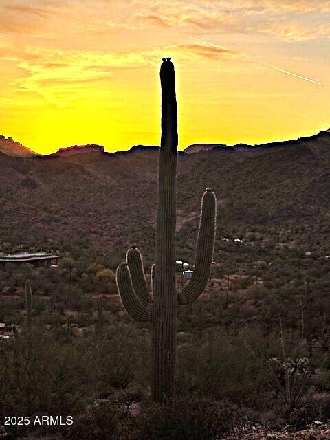 0 Elephant Butte Road Gold Canyon, AZ 85118 - Photo 4 of 15 a view of a backyard with table and chairs