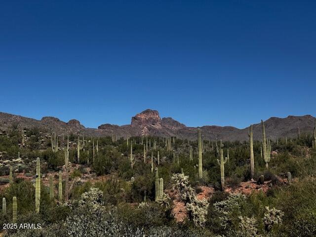 0 Elephant Butte Road Gold Canyon, AZ 85118 - Photo 5 of 15 a view of a town with mountains in the background