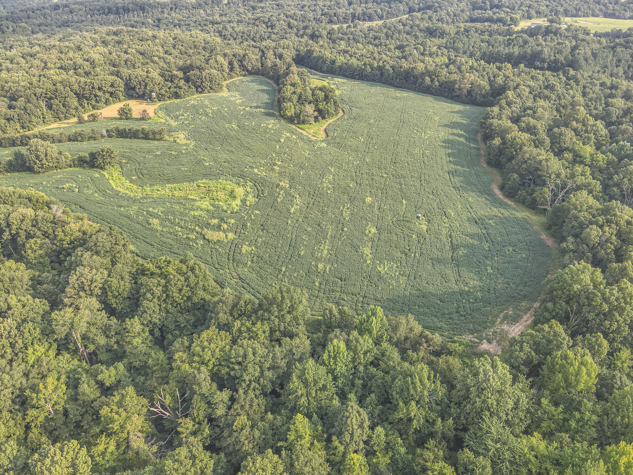 160+/- Acres