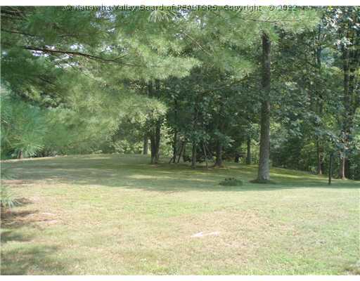 41 Brian Lane Elkview, WV 25071 - Photo 8 of 8 Yard/Garden.