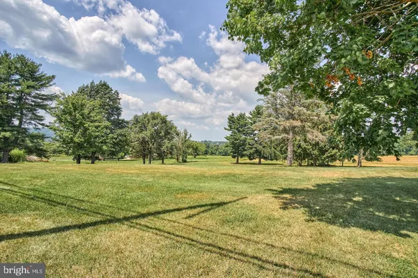 a view of an ocean with a big yard and large trees