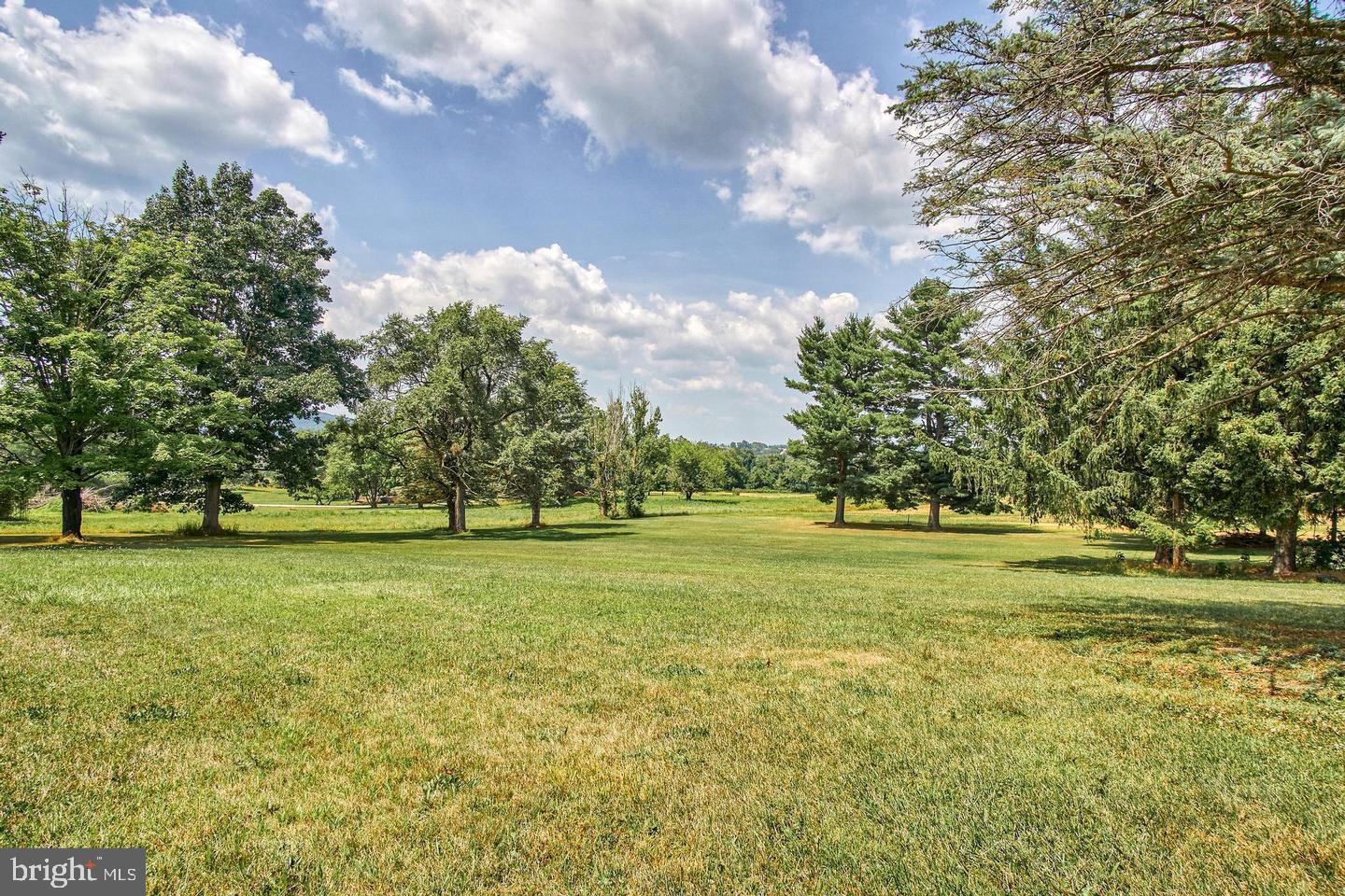 51 Old York Road Dillsburg, PA 17019 - Photo 5 of 7 a big yard with lots of green space and trees