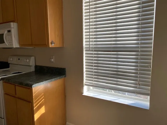 $1,350 | 1894 Nena Hills Drive, Tallahassee, FL 32304