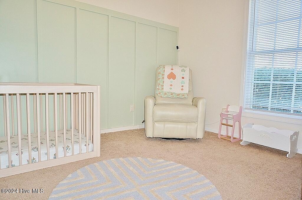 235 Raintree Road Jacksonville, NC 28540 - Photo 21 of 26 DSC02919 (1024x680)