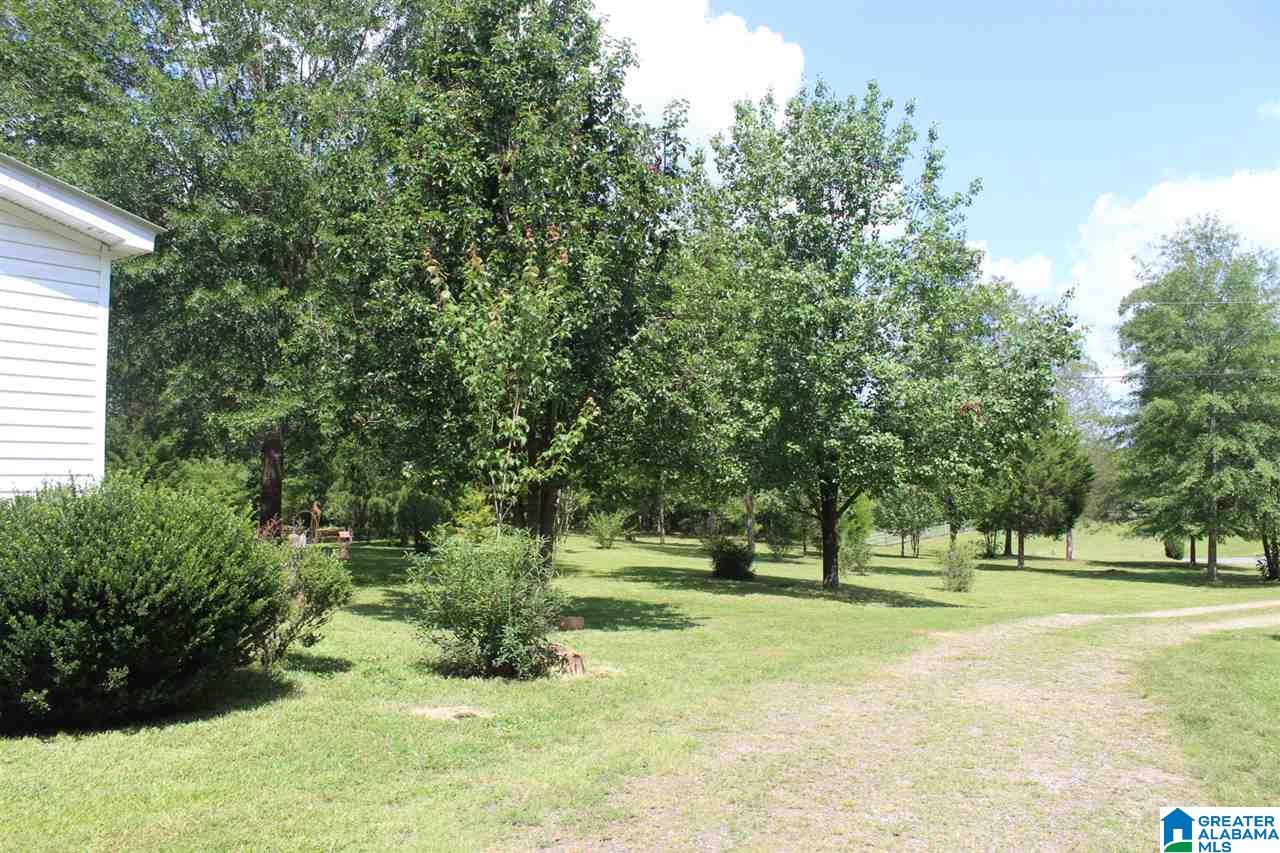 1623 Ripley Cutoff Road Carbon Hill, AL 35549 - Photo 34 of 38