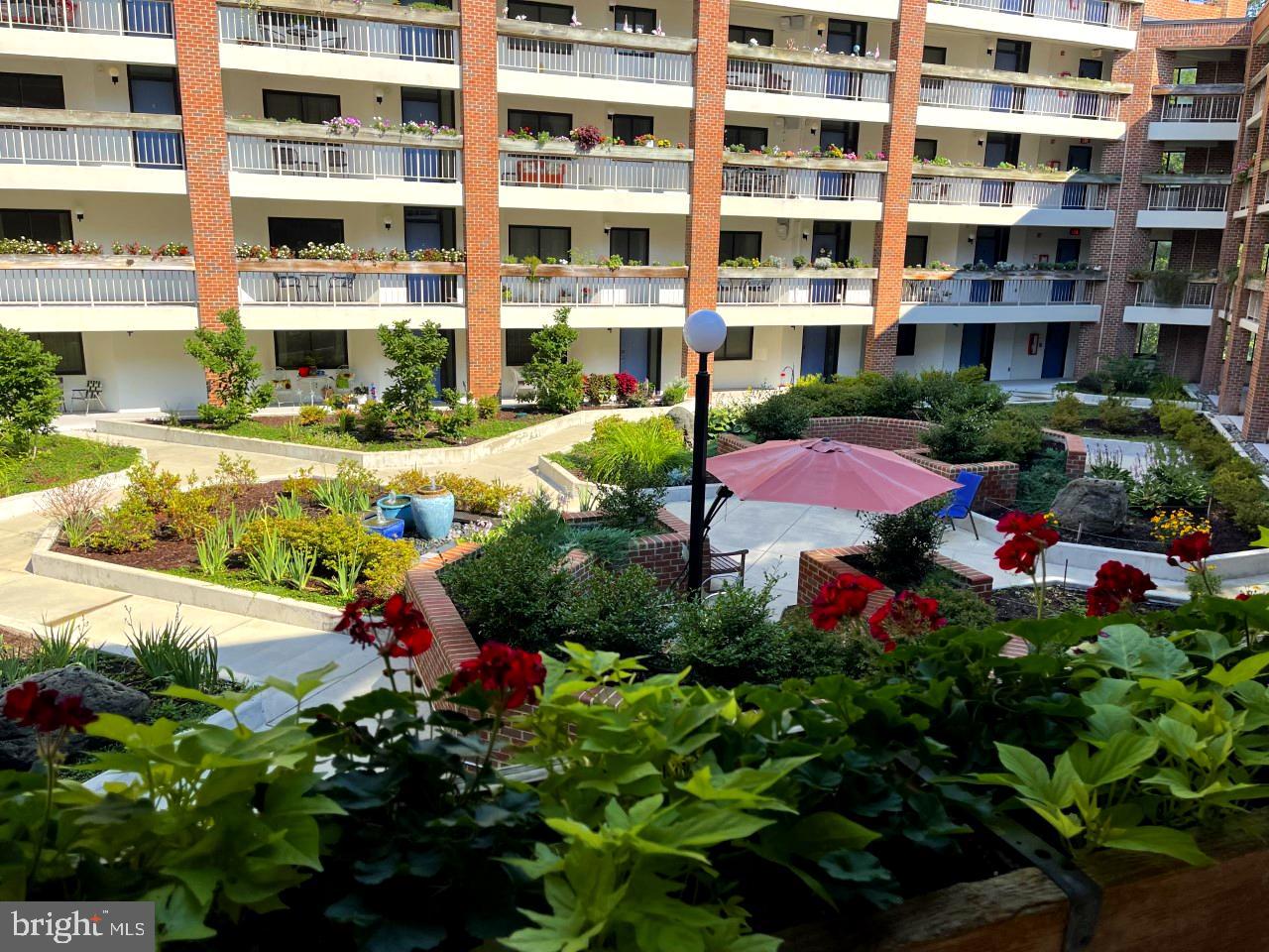 1951 Sagewood Lane, Unit 110 Reston, VA 20191 - Photo 2 of 41 Stunning, Enormous Courtyard Feature