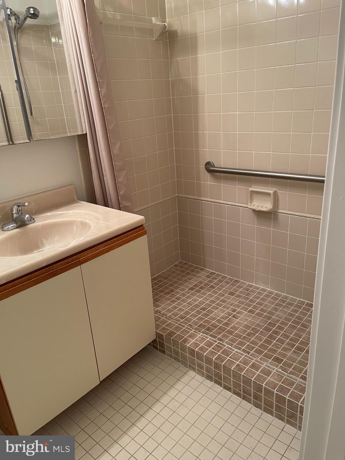1951 Sagewood Lane, Unit 110 Reston, VA 20191 - Photo 13 of 41 Conversion to Step in Shower