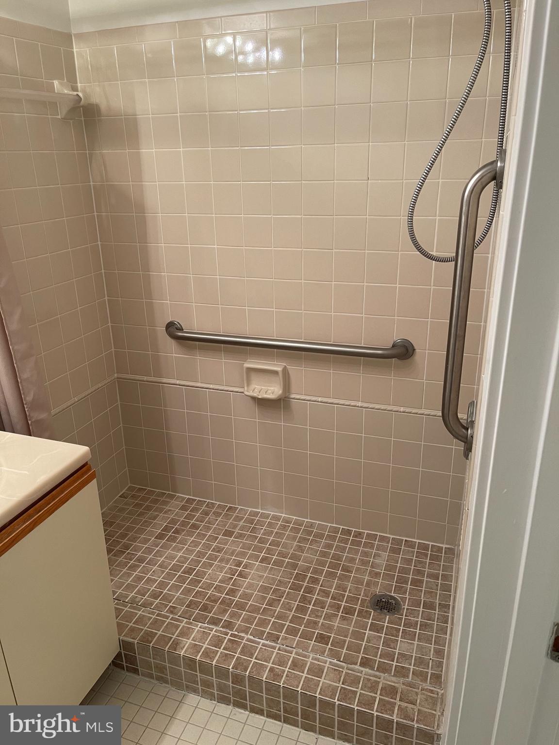 1951 Sagewood Lane, Unit 110 Reston, VA 20191 - Photo 14 of 41 Safety Grab Bars - Ceramic Tile