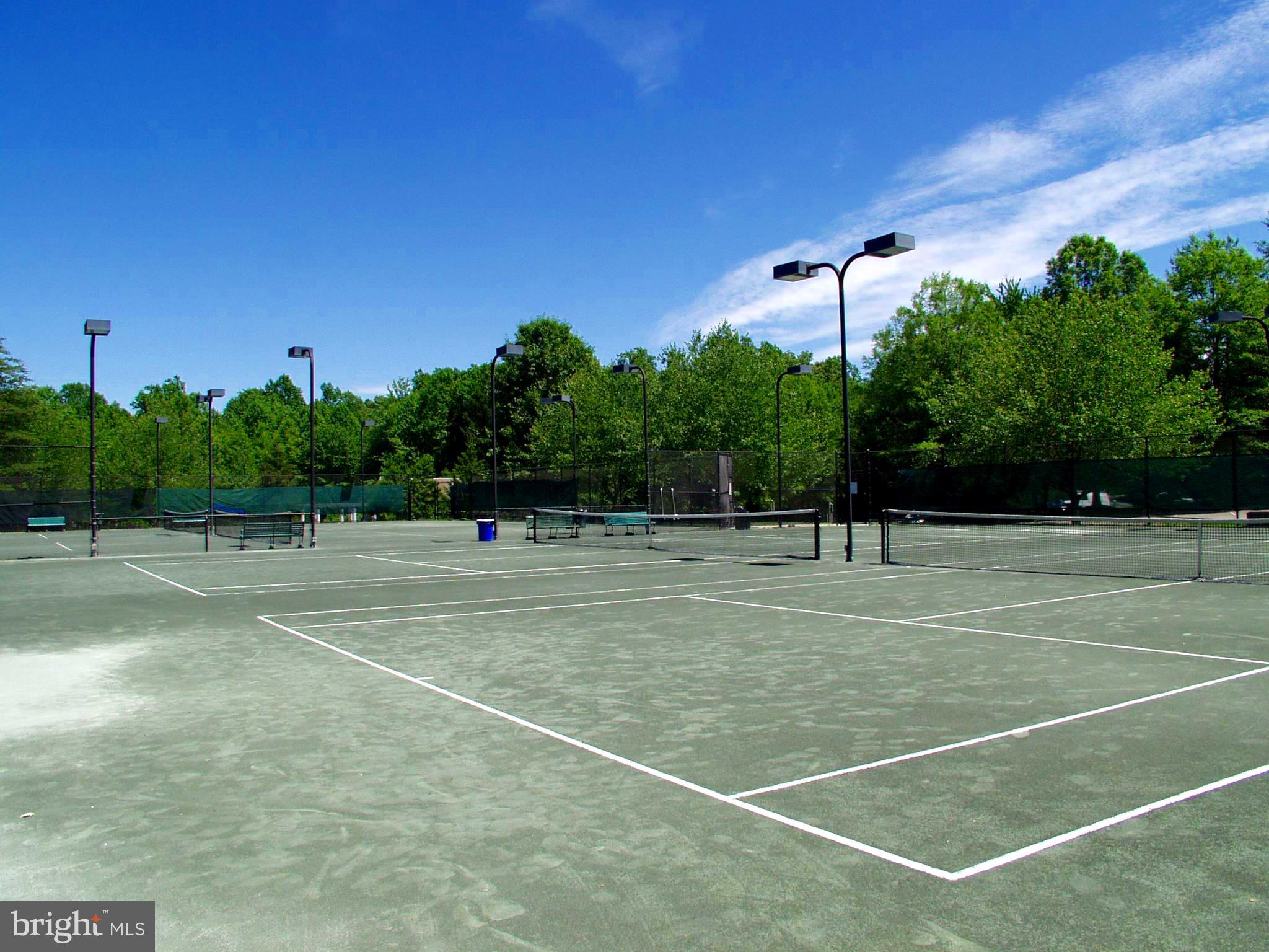 1951 Sagewood Lane, Unit 110 Reston, VA 20191 - Photo 32 of 41 Clay/Har Tru Tennis Courts! Glade and Northpoint