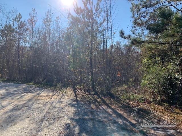 736 A Johnson Road Atmore, AL 36502 - Photo 4 of 9