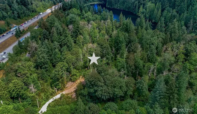 a view of a lush green forest with lots of trees