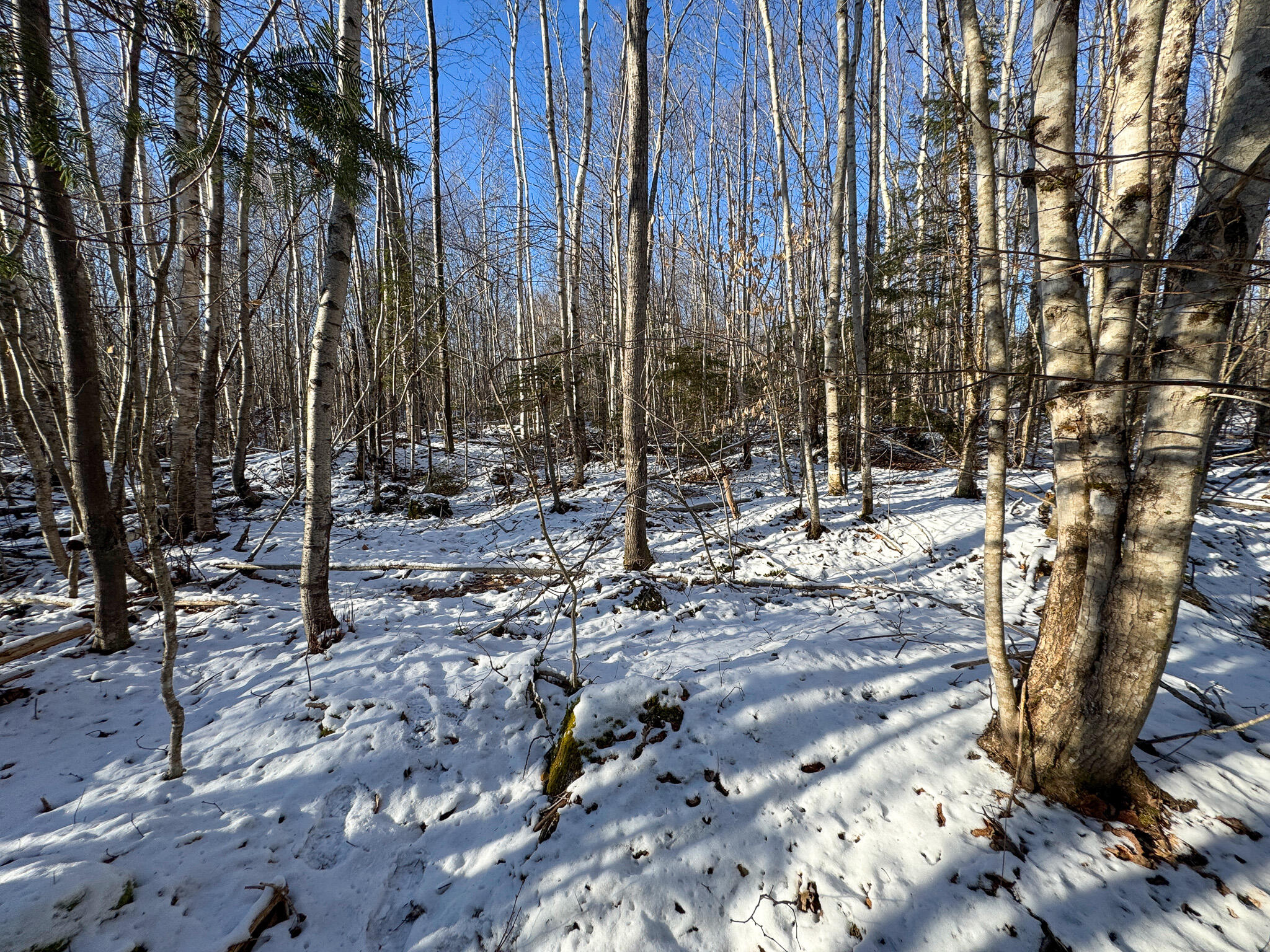 Lot 15 Upper Dobsis Road Lakeville, ME 04487 - Photo 12 of 35 12