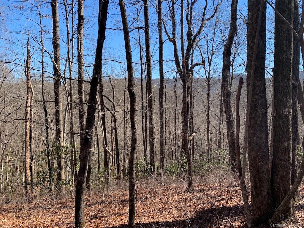 111 Ladd Ridge Road Rosman, NC 28772 - Photo 12 of 18 Gallery Image 12