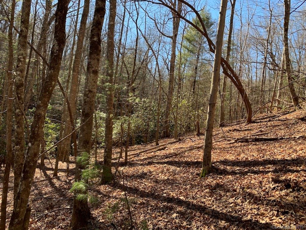 111 Ladd Ridge Road Rosman, NC 28772 - Photo 14 of 18 Gallery Image 14