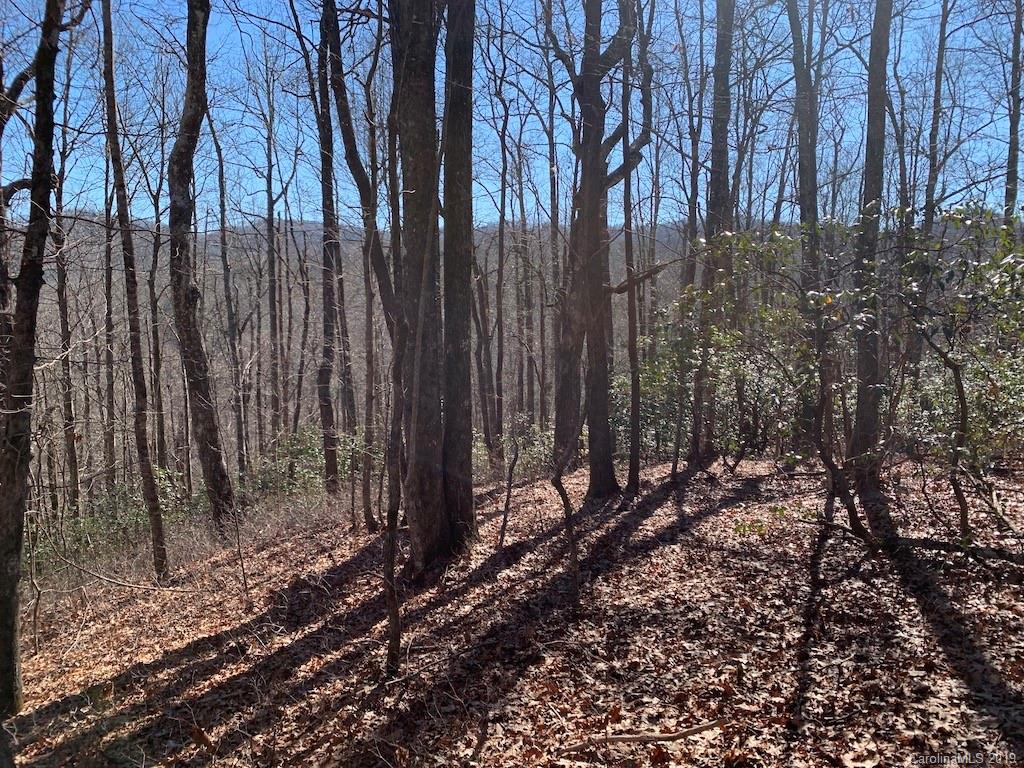 111 Ladd Ridge Road Rosman, NC 28772 - Photo 4 of 18 Gallery Image 4