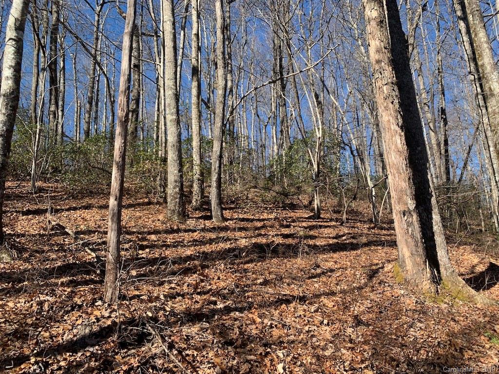 111 Ladd Ridge Road Rosman, NC 28772 - Photo 5 of 18 Gallery Image 5