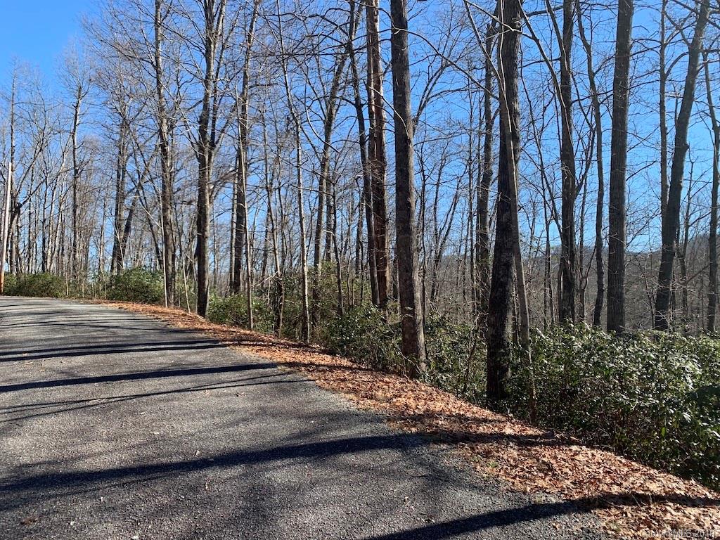 111 Ladd Ridge Road Rosman, NC 28772 - Photo 6 of 18 Gallery Image 6