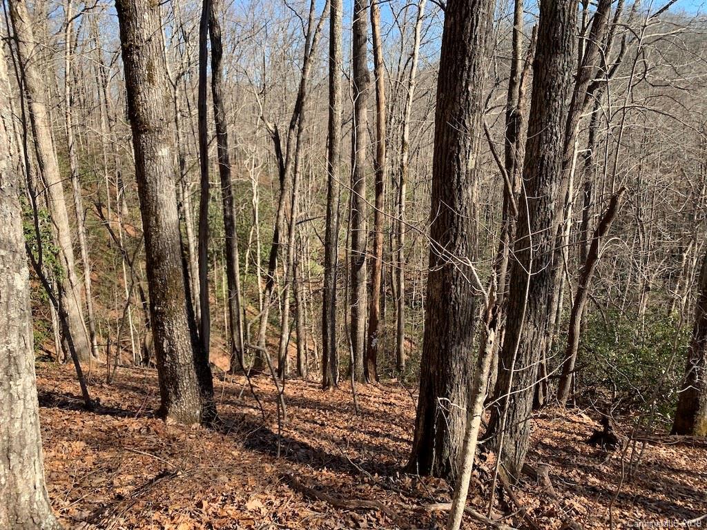 111 Ladd Ridge Road Rosman, NC 28772 - Photo 7 of 18 Gallery Image 7