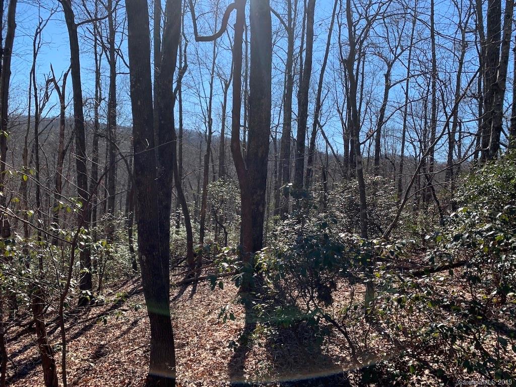 111 Ladd Ridge Road Rosman, NC 28772 - Photo 9 of 18 Gallery Image 9