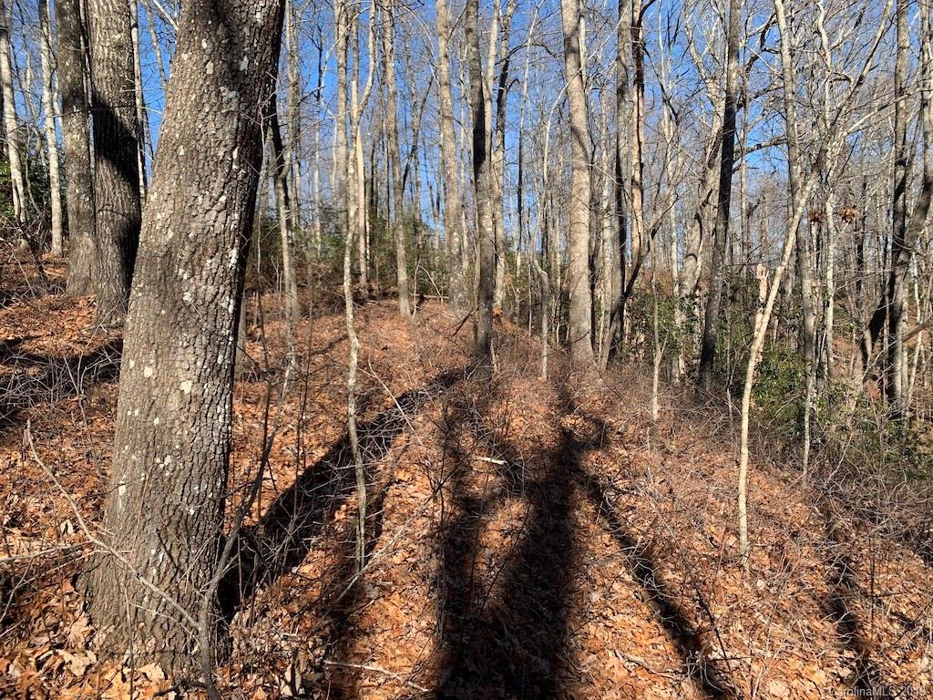 111 Ladd Ridge Road Rosman, NC 28772 - Photo 10 of 18 Gallery Image 10