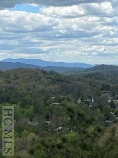 Lot 8 Ravenel Ridge Road Highlands, NC 28741 - Photo 10 of 13 Gallery Image 10