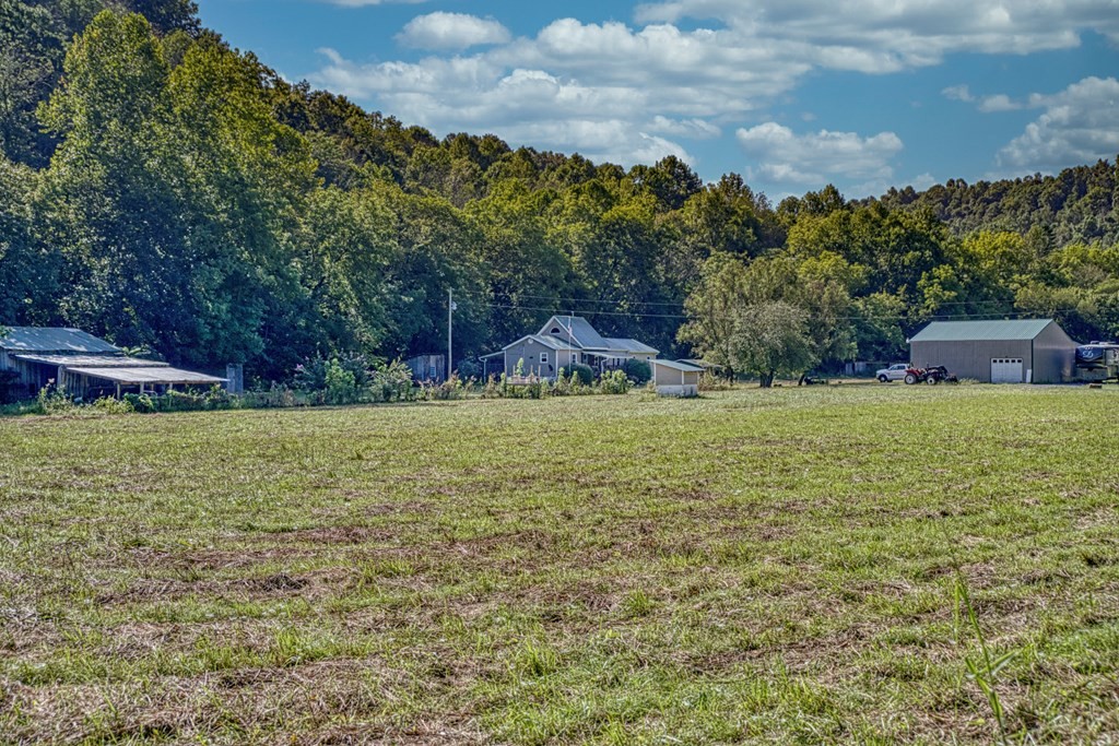 1383 Morrison Creek Road Gainesboro, TN 38562 - Photo 2 of 22 a view of an outdoor space
