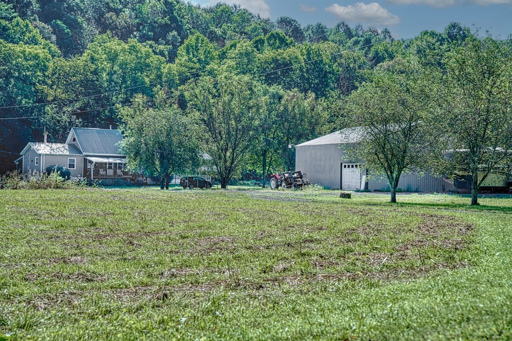 1383 Morrison Creek Road Gainesboro, TN 38562 - Photo 3 of 22 a view of a house with a yard and sitting area