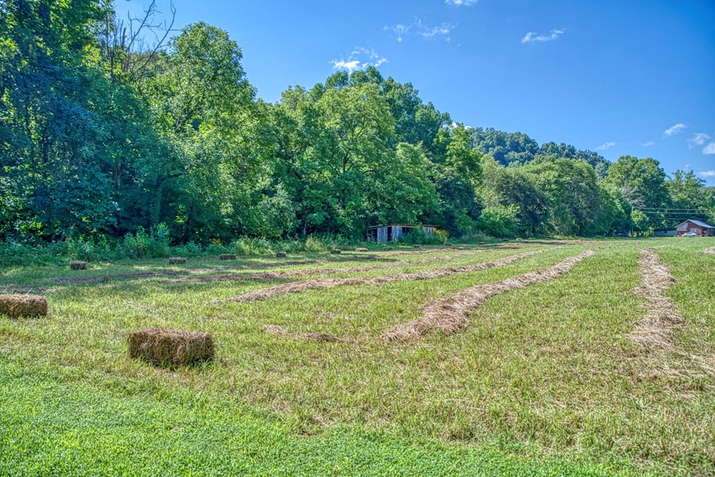 1383 Morrison Creek Road Gainesboro, TN 38562 - Photo 22 of 22 a view of outdoor space with deck and yard