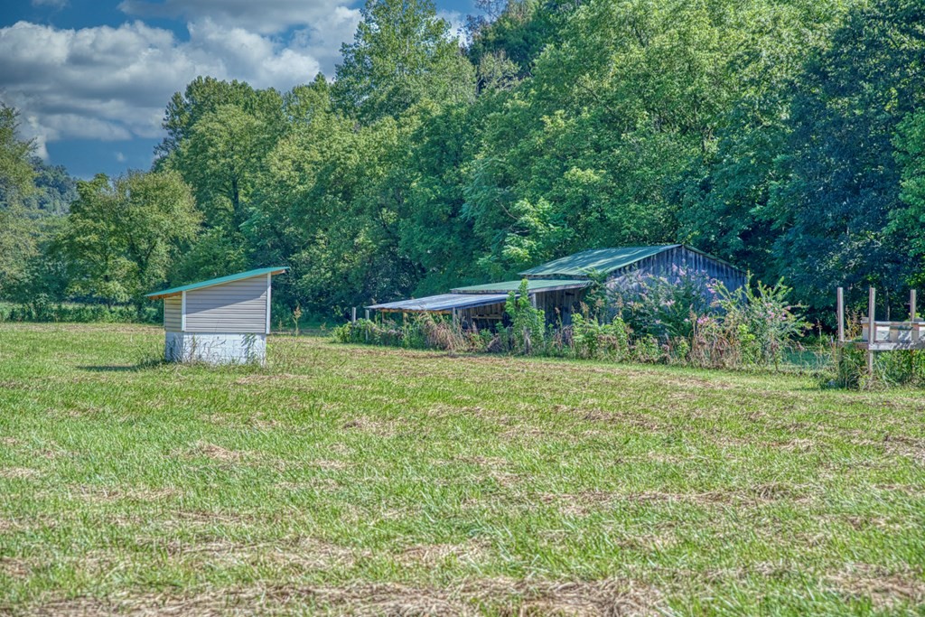 1383 Morrison Creek Road Gainesboro, TN 38562 - Photo 5 of 22 a backyard of a house with lots of green space and fountain