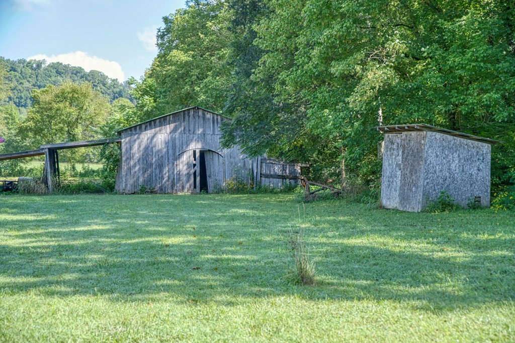 1383 Morrison Creek Road Gainesboro, TN 38562 - Photo 6 of 22 a backyard of a house with lots of green space
