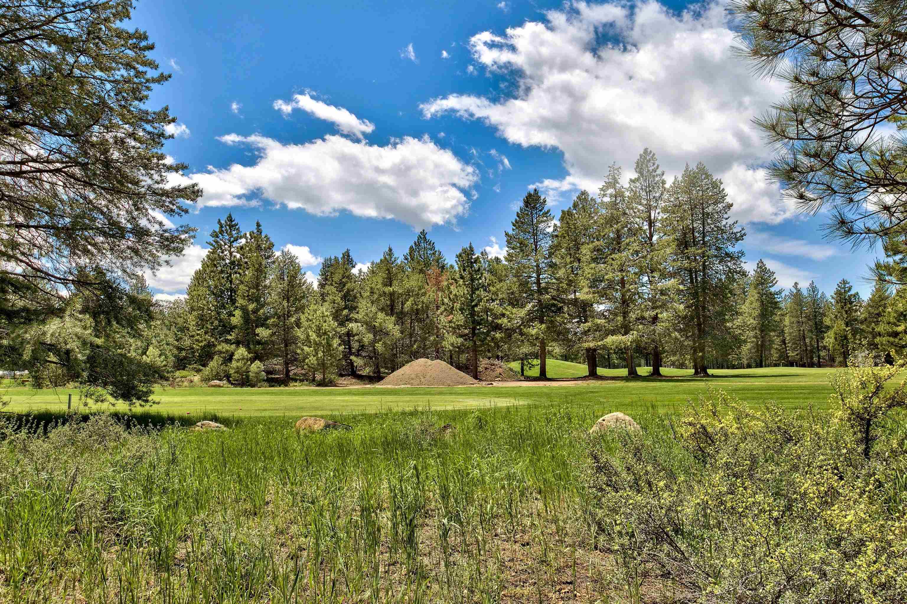 11467 Brockway Road Truckee, CA 96161 - Photo 10 of 21