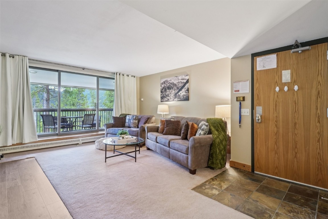 22097 Saints John Road, Unit 2506 Keystone, CO 80435 - Photo 5 of 47 Living room featuring a baseboard heating unit and carpet floors
