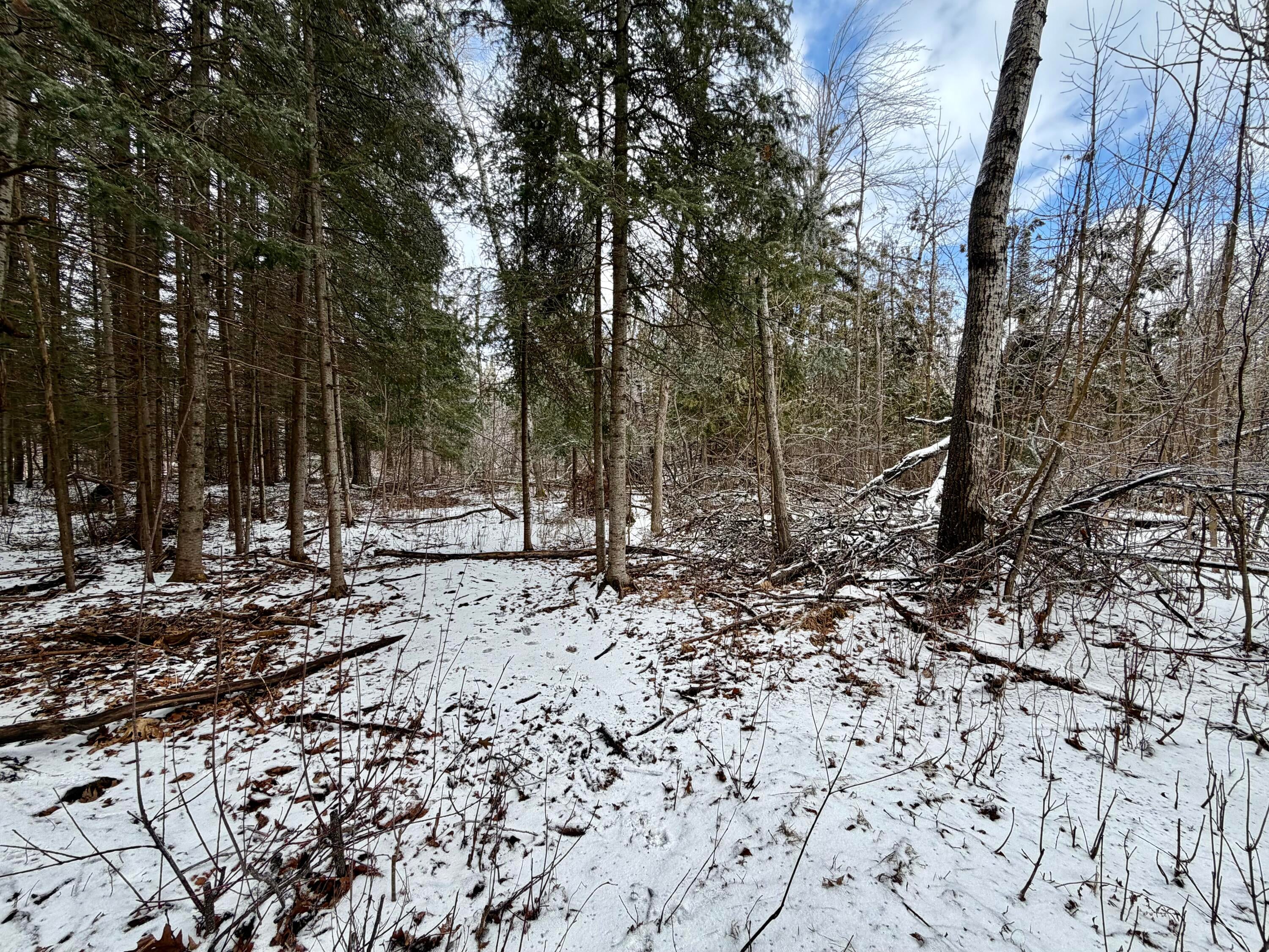 1490 Calcut Road Lachine, MI 49753 - Photo 11 of 52 Gallery Image 11
