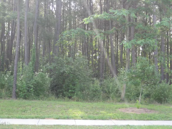 $4,750,000 | 0 Us Highway, Youngsville, NC 27596