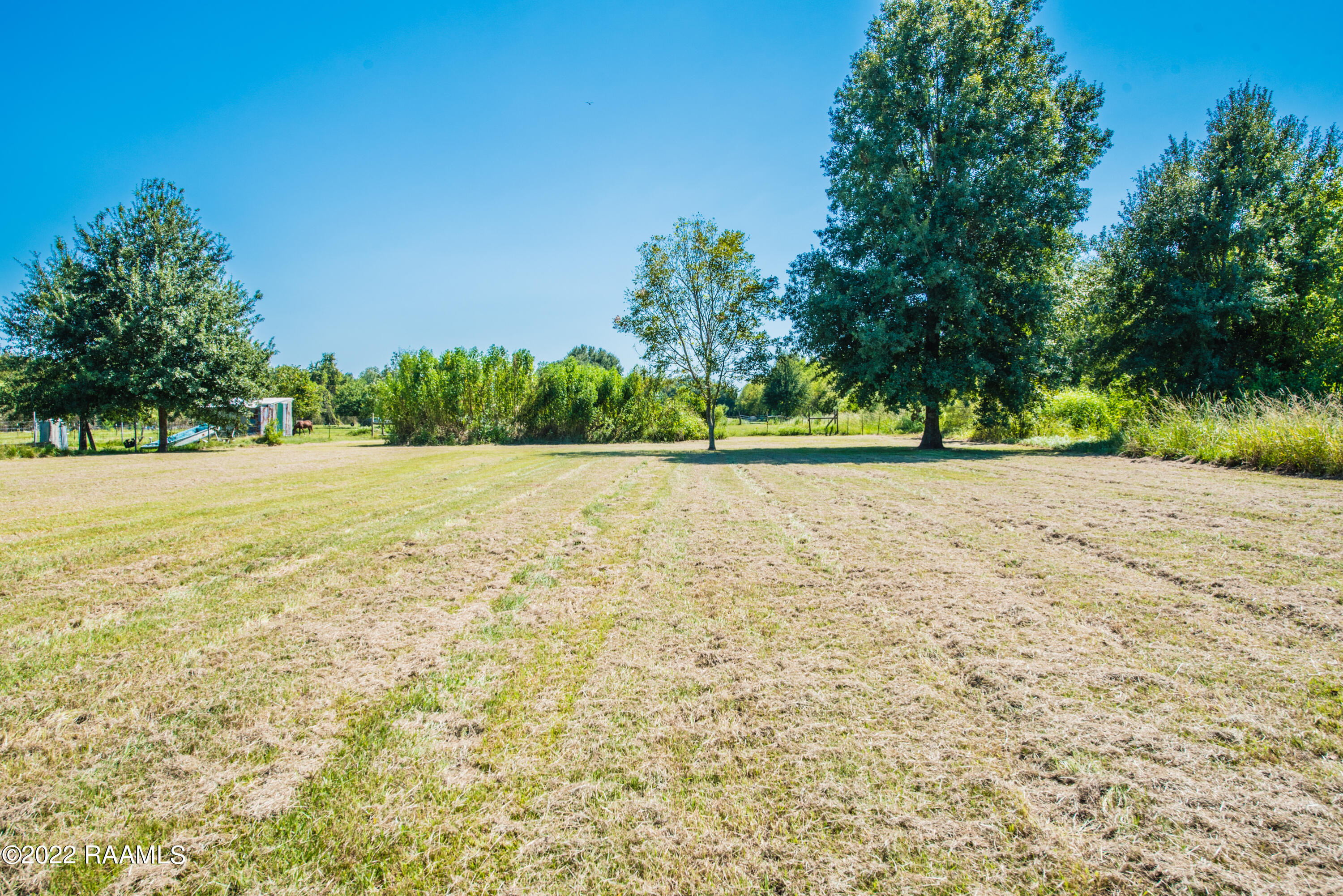 514 Martinez Road Church Point, LA 70525 - Photo 3 of 29 DSC_0429