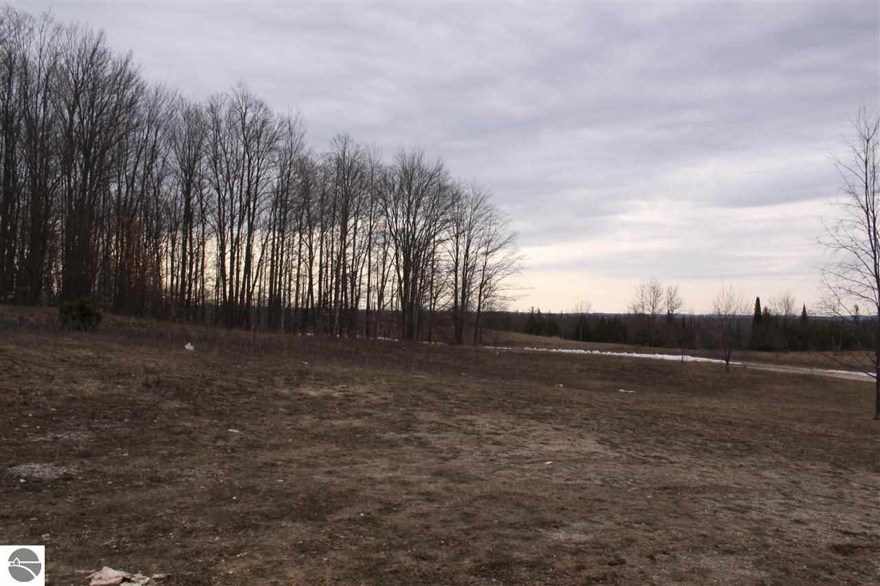 3353 East 2 1/2 Road Kingsley, MI 49649 - Photo 11 of 48 1783353-10.JPG