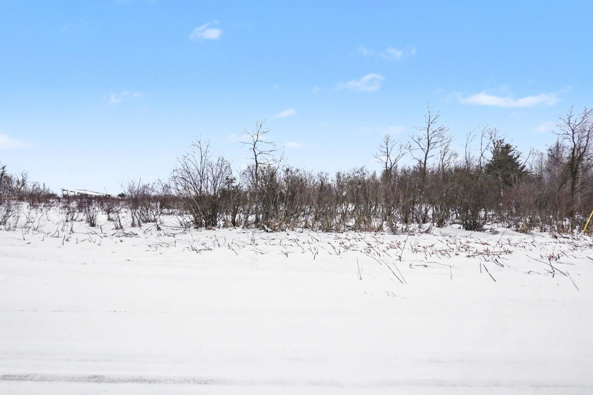 10386 South Deer Lake Road Reed City, MI 49677 - Photo 9 of 22 10386 S Deer Lake Road_9