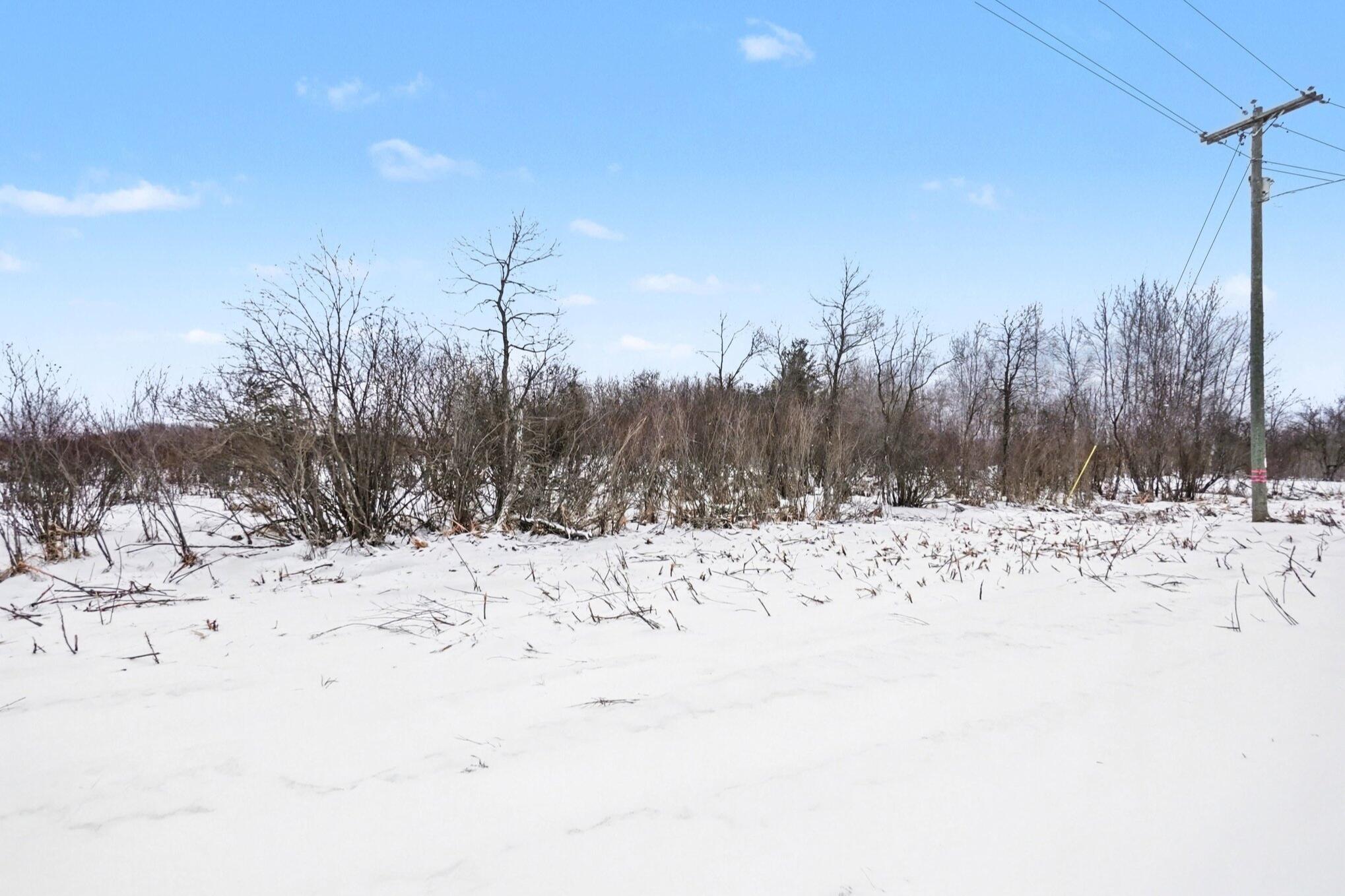 10386 South Deer Lake Road Reed City, MI 49677 - Photo 10 of 22 10386 S Deer Lake Road_10