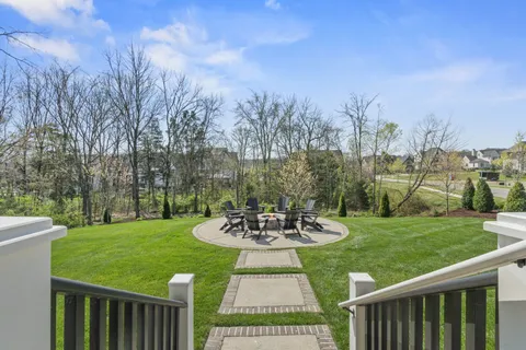 a view of a garden with plants
