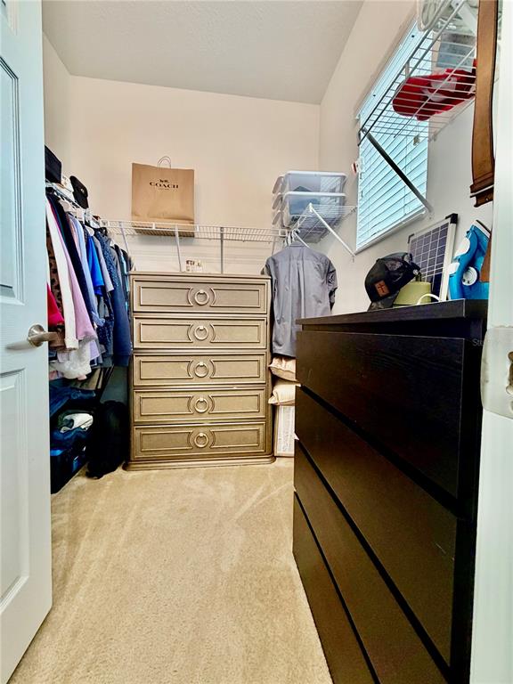 5824 Circa Fishhawk Boulevard Lithia, FL 33547 - Photo 24 of 34