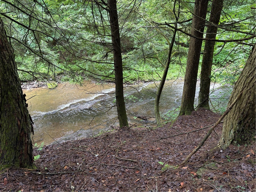 Stage Road South Otselic, NY 13155 - Photo 15 of 29