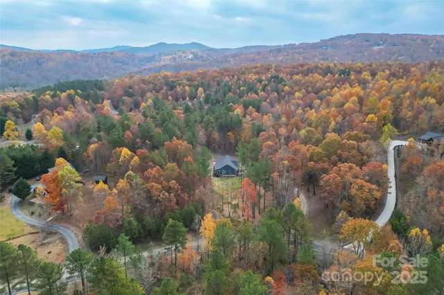 an aerial view of houses with a lush green hillside