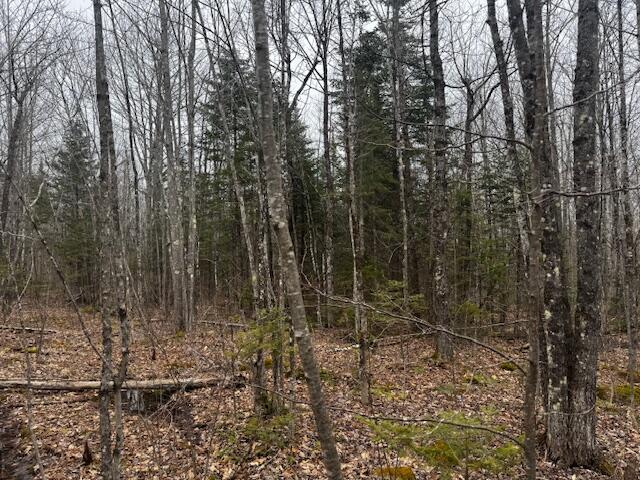 M4-l14 Snakeroot Road Pittsfield, ME 04967 - Photo 5 of 8 IMG_2256