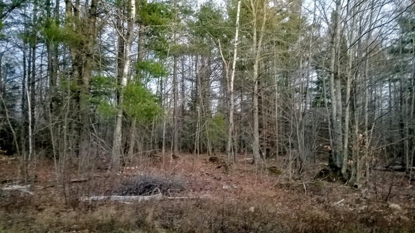 Row Thompson Bridge Road Starks, ME 04911 - Photo 2 of 4 20201124_162036