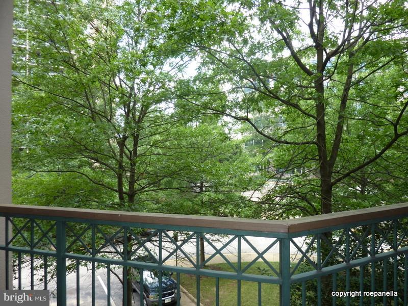5575 Seminary Road, Unit 207 Falls Church, VA 22041 - Photo 13 of 24 Treed View