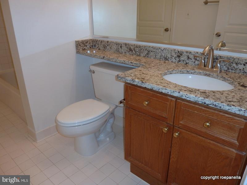 5575 Seminary Road, Unit 207 Falls Church, VA 22041 - Photo 15 of 24 Bath (Master) Granite Counters, Porcelain Sink