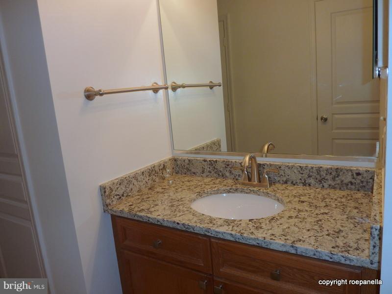 5575 Seminary Road, Unit 207 Falls Church, VA 22041 - Photo 17 of 24 2nd Sink with Granite Counter Nickle Fixtures