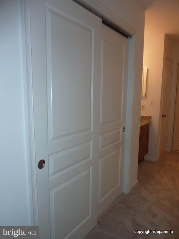 5575 Seminary Road, Unit 207 Falls Church, VA 22041 - Photo 18 of 24 Bedroom Closets Galore with Built Ins