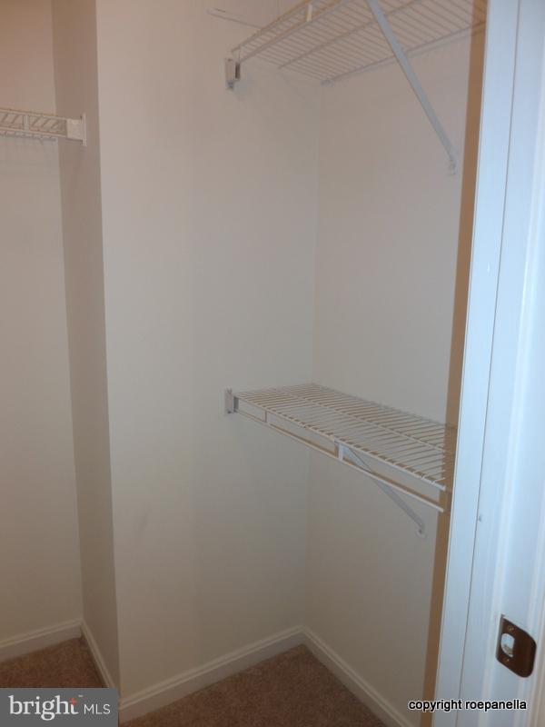 5575 Seminary Road, Unit 207 Falls Church, VA 22041 - Photo 20 of 24 Second closet is Walk In