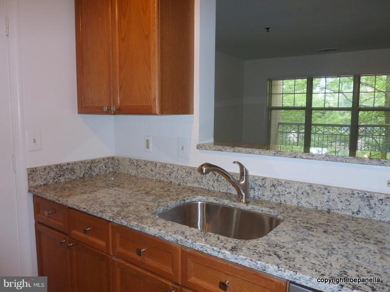 5575 Seminary Road, Unit 207 Falls Church, VA 22041 - Photo 3 of 24 New Sink and Fixtures